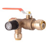 Reliance Worldwide 3/4" Brass Thermal Expansion Relief Valve