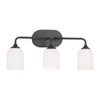 Generation Lighting Emile 22" 3-Light Midnight Black Vanity Light, Etched Glass