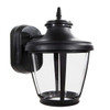 Liteco Outdoor Wall Mount Composite Fixture, E26 Socket, Black With Clear Lens