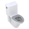 Bestcare Whitehall Ligature-Resistant Cistern Tank Toilet, 12 Inch Rough