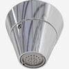 Bestcare Whitehall Ligature-Resistant Ceiling Mounted Shower Head Non-Adjustable
