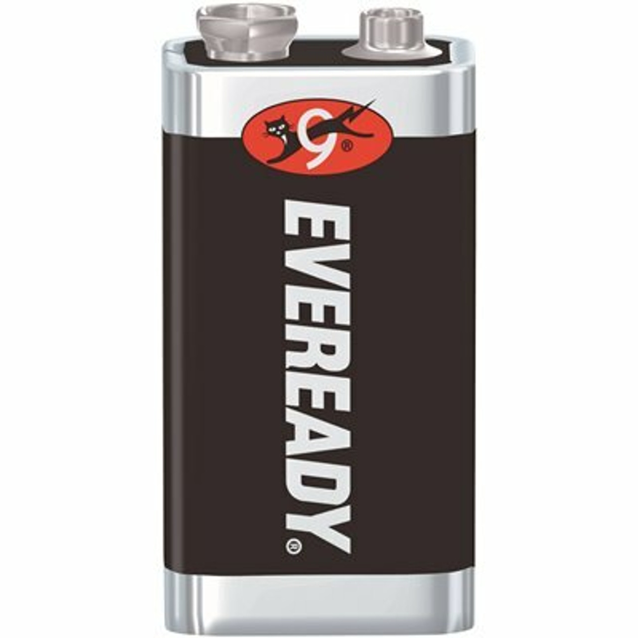 9-Volt Heavy-Duty Battery (12-Pack)