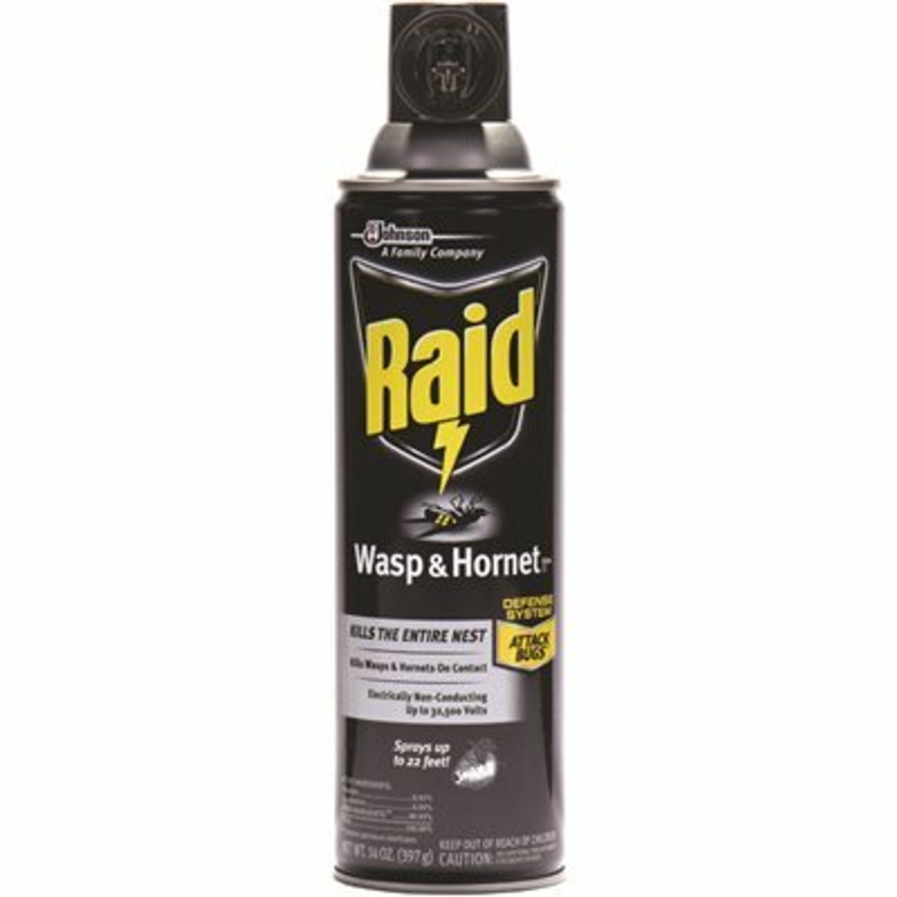 Raid 14 Oz. Wasp And Hornet Killer