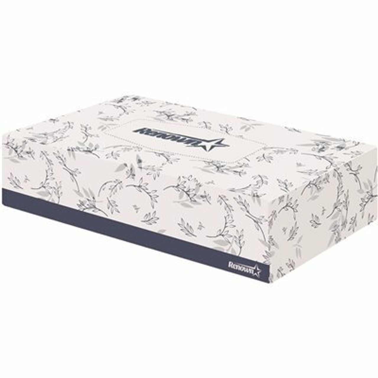 Renown 2-Ply Flat Box Facial Tissue (100-Count)