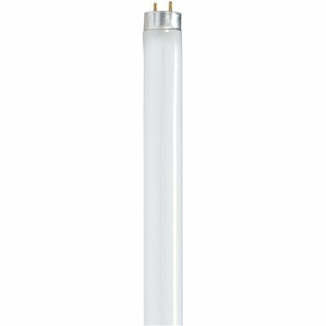 Satco|Satco 17-Watt 2 Ft. Linear T8 Medium Bi Pin Base Fluorescent Tube Light Bulb Soft White (30-Case)