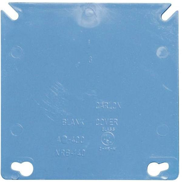 Carlon 2-Gang Blank Electrical Non-Metallic Tubing Box Cover