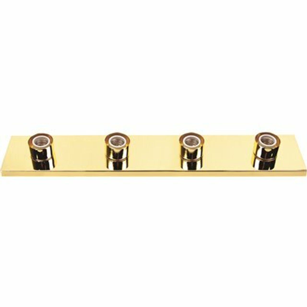 Royal Cove 24 In. Polished Brass Vanity Lighting Strip Uses (4) 60-Watt Incandescent G25 Medium Base Lamps