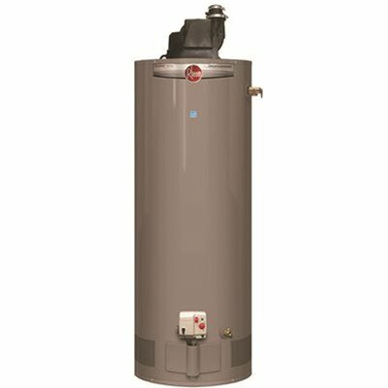 Rheem Professional Classic 40 Gal. Short Power Vent Residential Natural Gas Water Heater With Side T And P Relief Valve