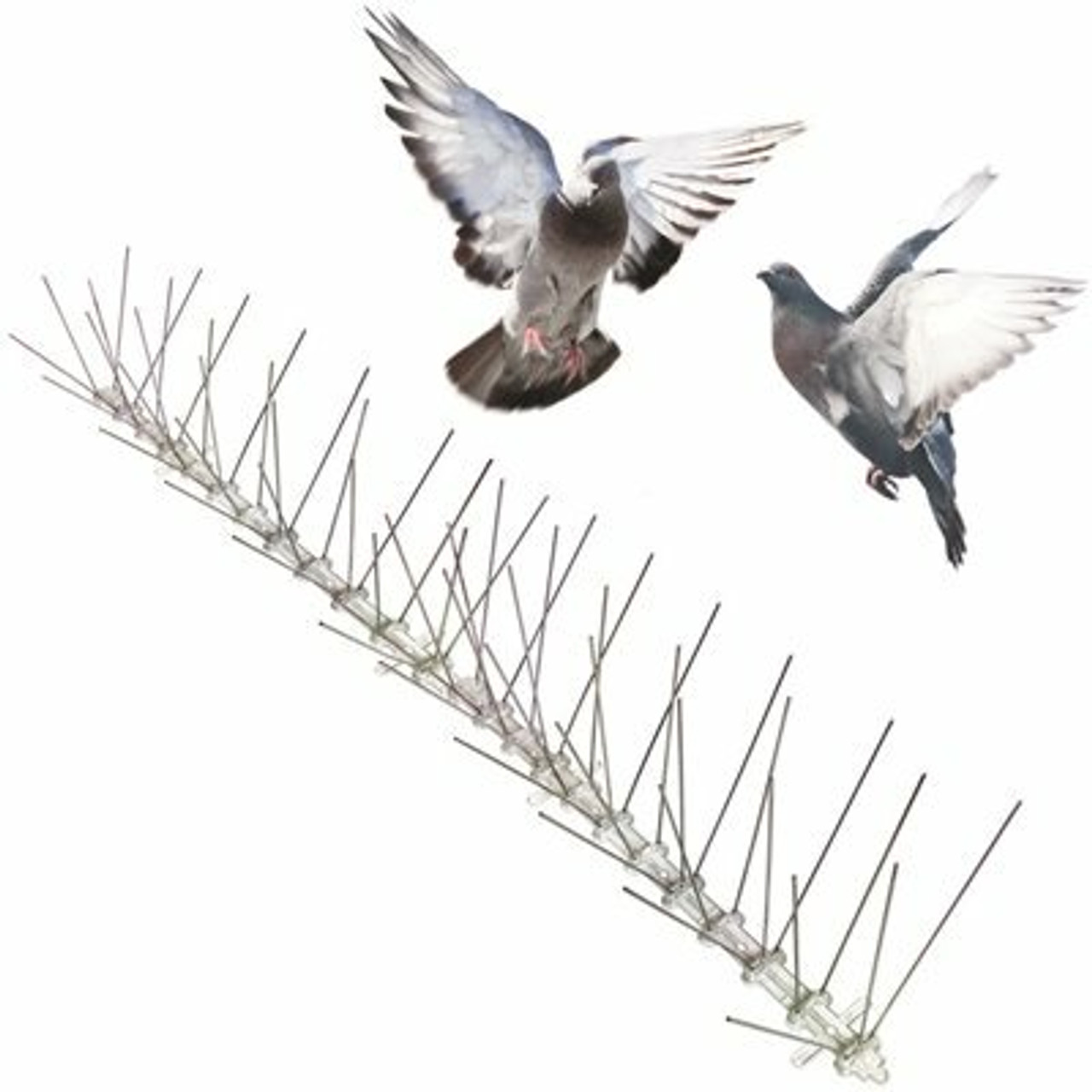 Bird-X Original Stainless Steel Bird Spikes 100 Ft. Pigeons Starlings Blackbirds Seagulls 6 In. Coverage