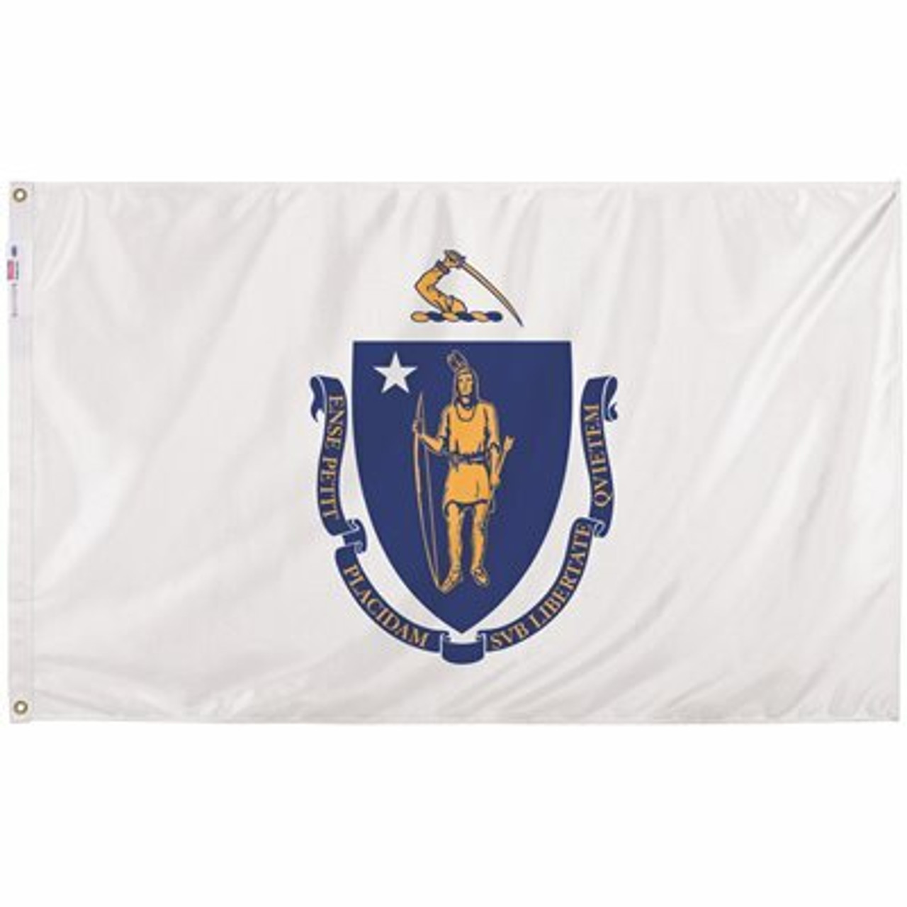 Valley Forge Flag 3 Ft. X 5 Ft. Nylon Massachusetts State Flag