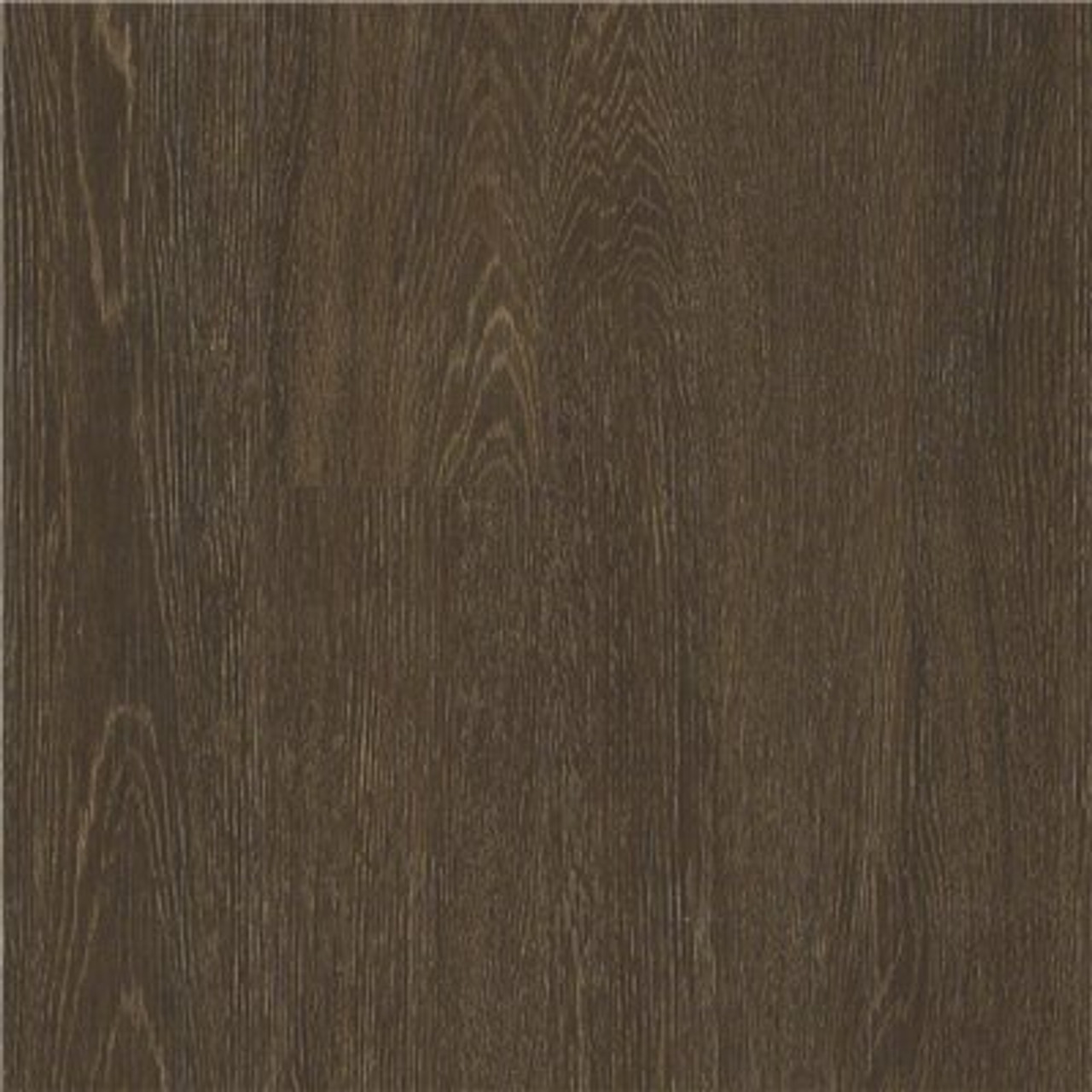 Shaw Bountiful Sienna 6 In. X 48 In. Vinyl Plank (53.64 Sq. Ft./Case)