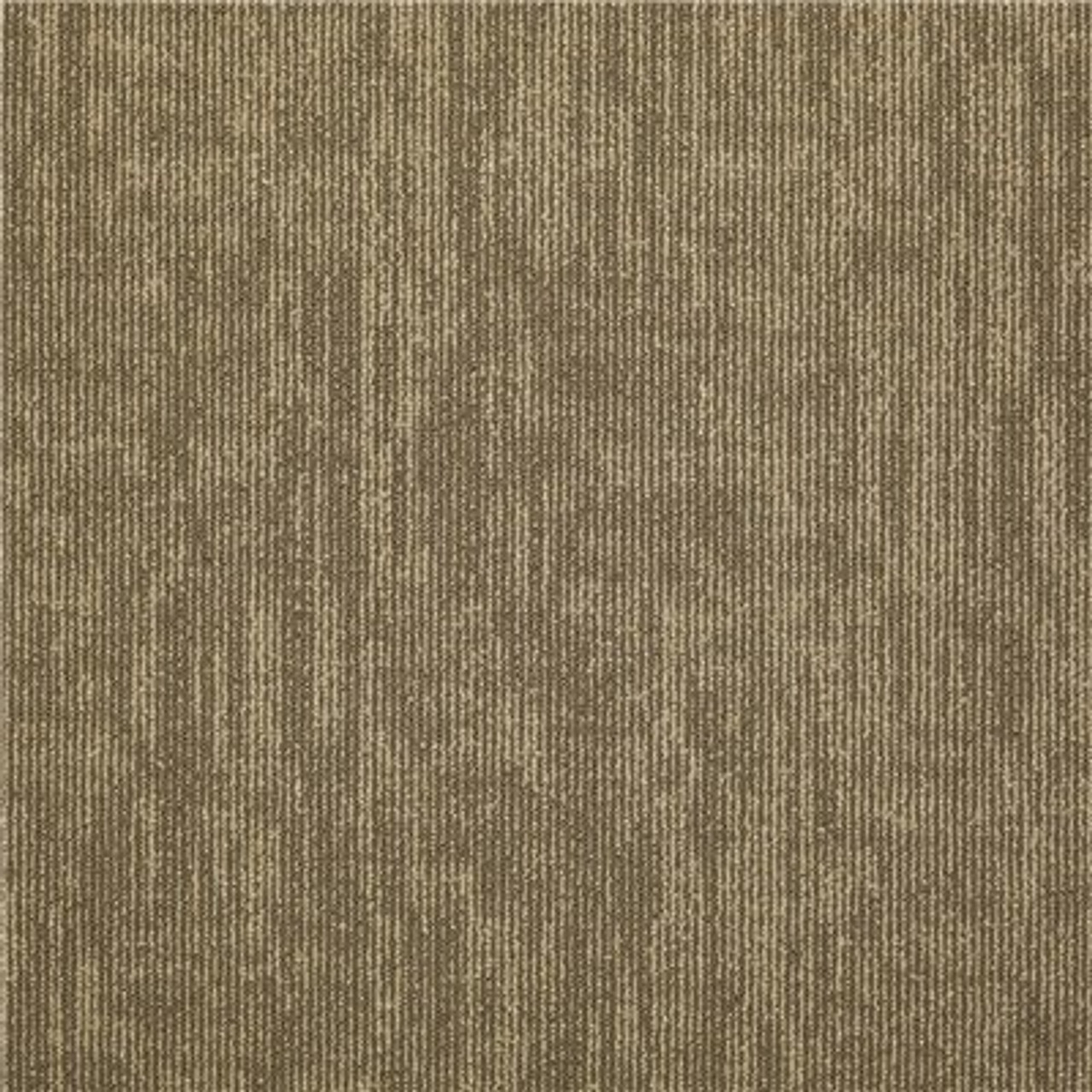 Shaw Graphix Khaki Loop Commercial 24 In. X 24 In. Glue Down Carpet Tile (12-Tile/Case)