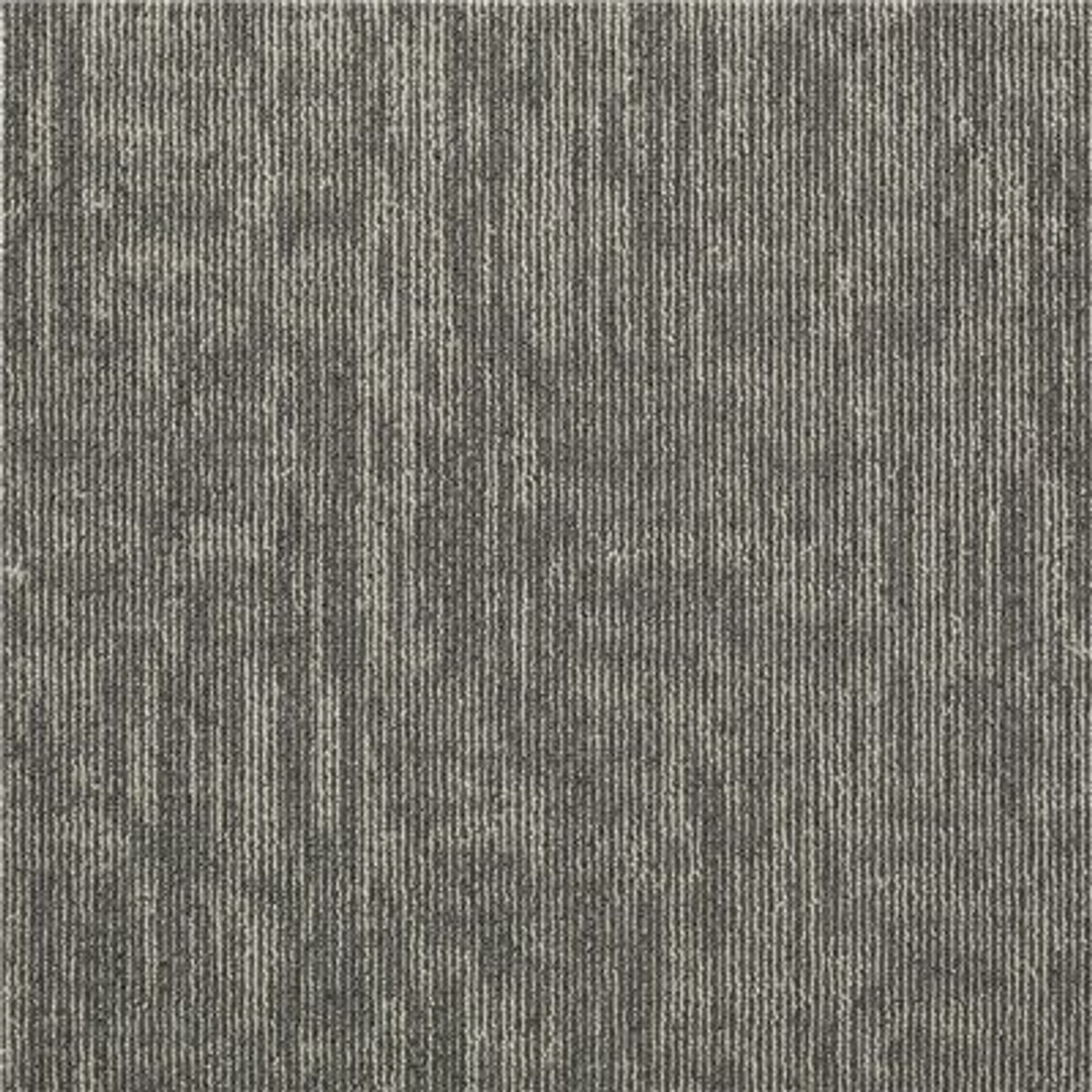 Shaw Graphix Kirkwood Loop Commercial 24 In. X 24 In. Glue Down Carpet Tile (12-Tile/Case)