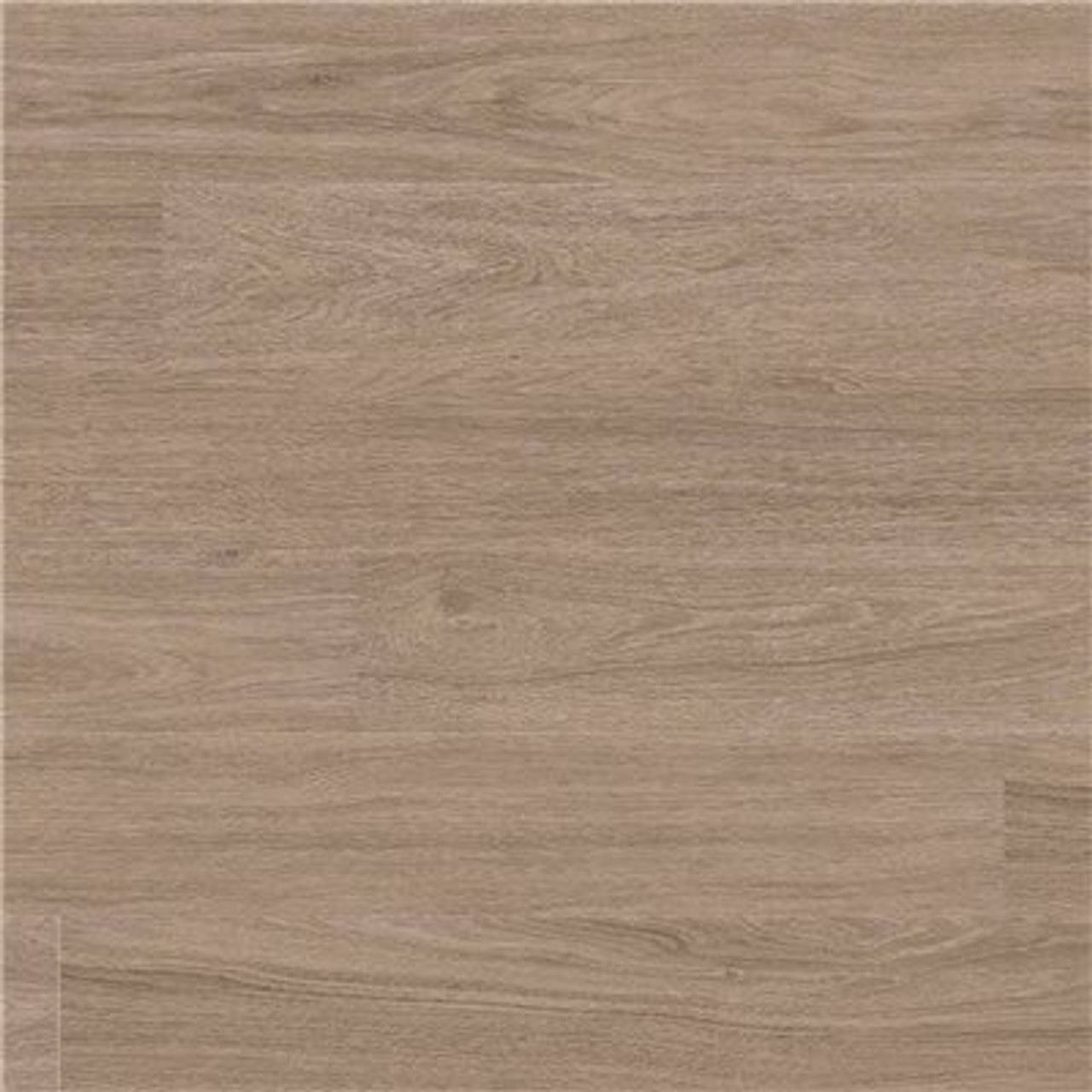 A&A Surfaces Centennial Washed Elm 6 In. X 48 In. Glue Down Luxury Vinyl Plank Flooring (70 Cases / 2520 Sq. Ft. / Pallet)