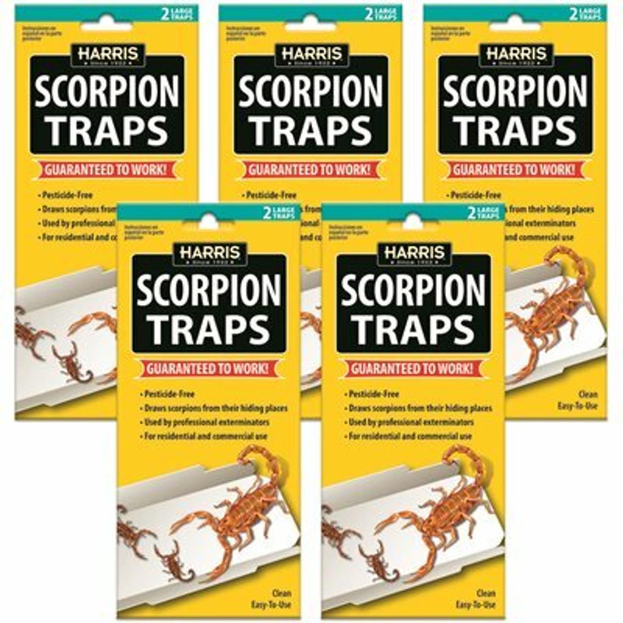 Harris Scorpion Glue Trap (5-Pack)