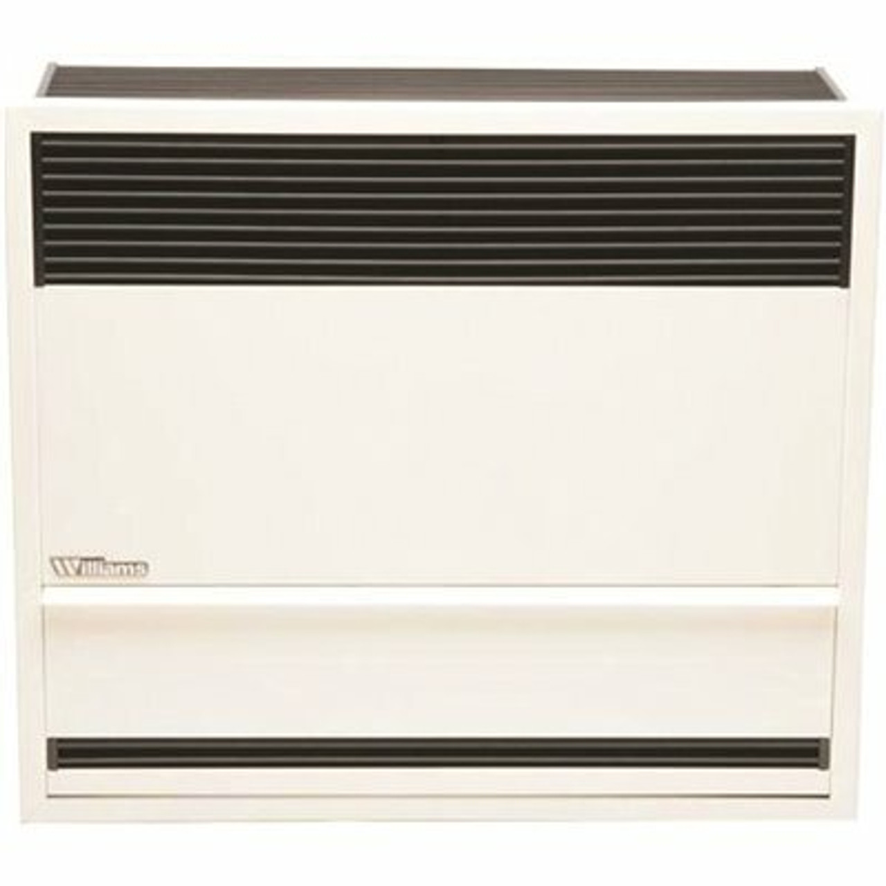 Williams 30,000 Btuh 66% Afue Direct-Vent Propane Gas Gravity Wall Heater