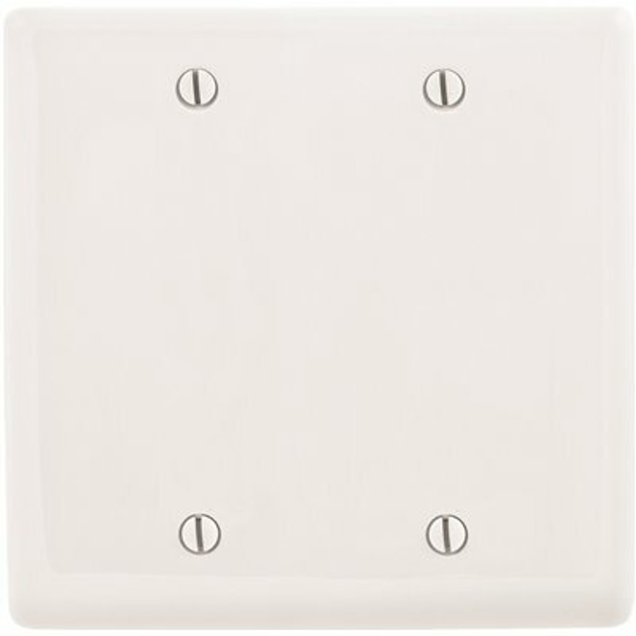 Hubbell Wiring 2-Gang White Box Mount Blank Wall Plate
