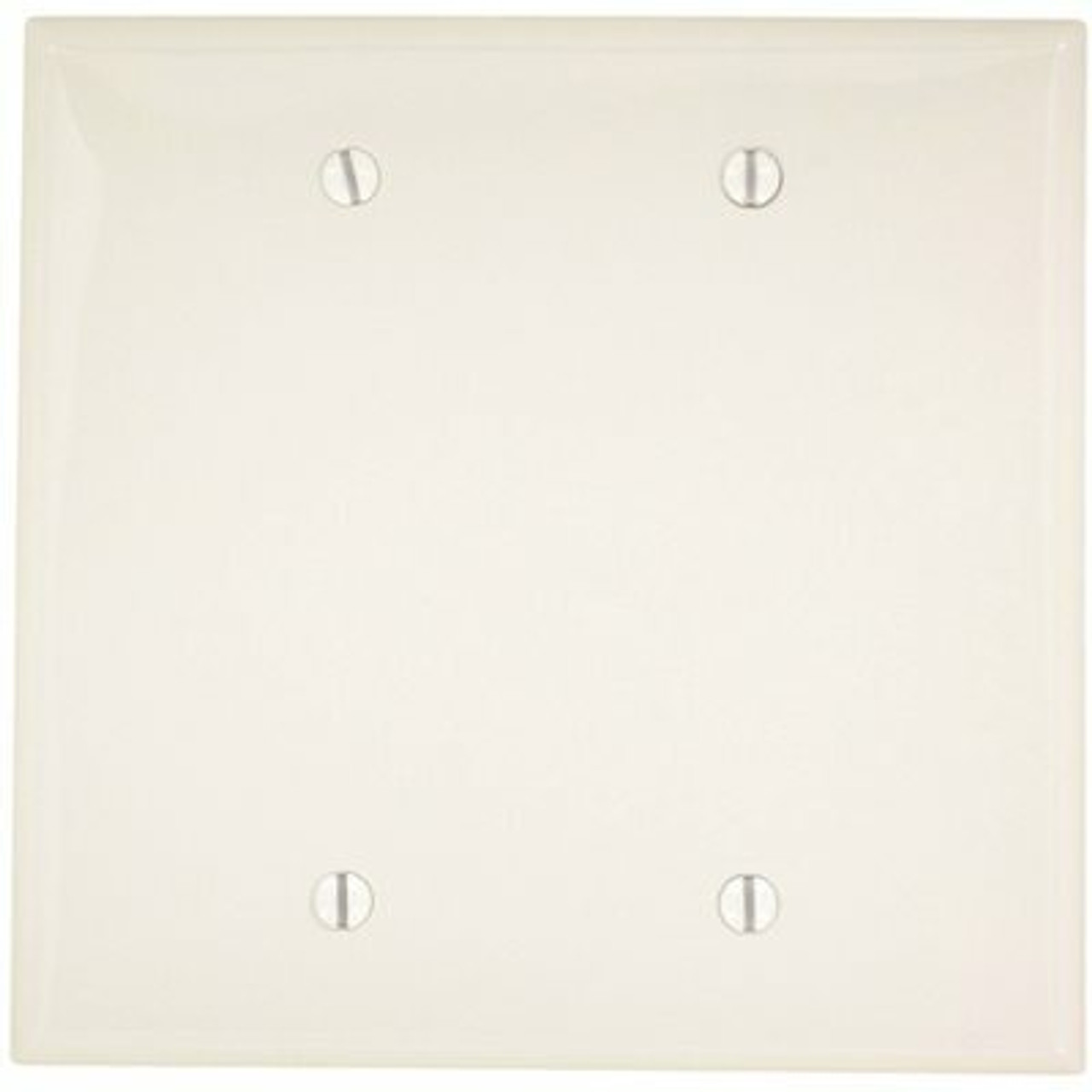 Leviton White 2-Gang Blank Plate Wall Plate (1-Pack) - 130384