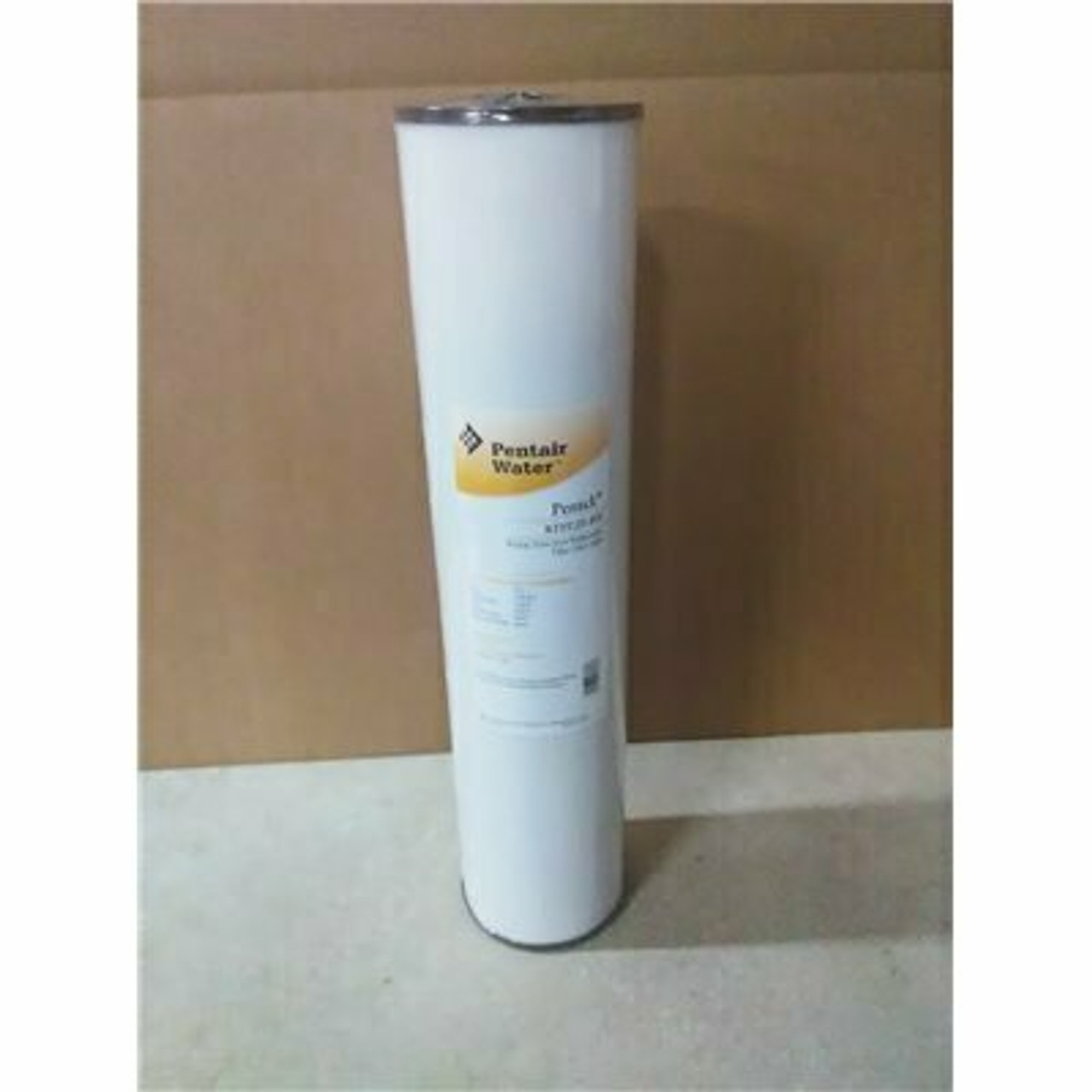 PENTAIR 20" IRON FILTER, 4 Count