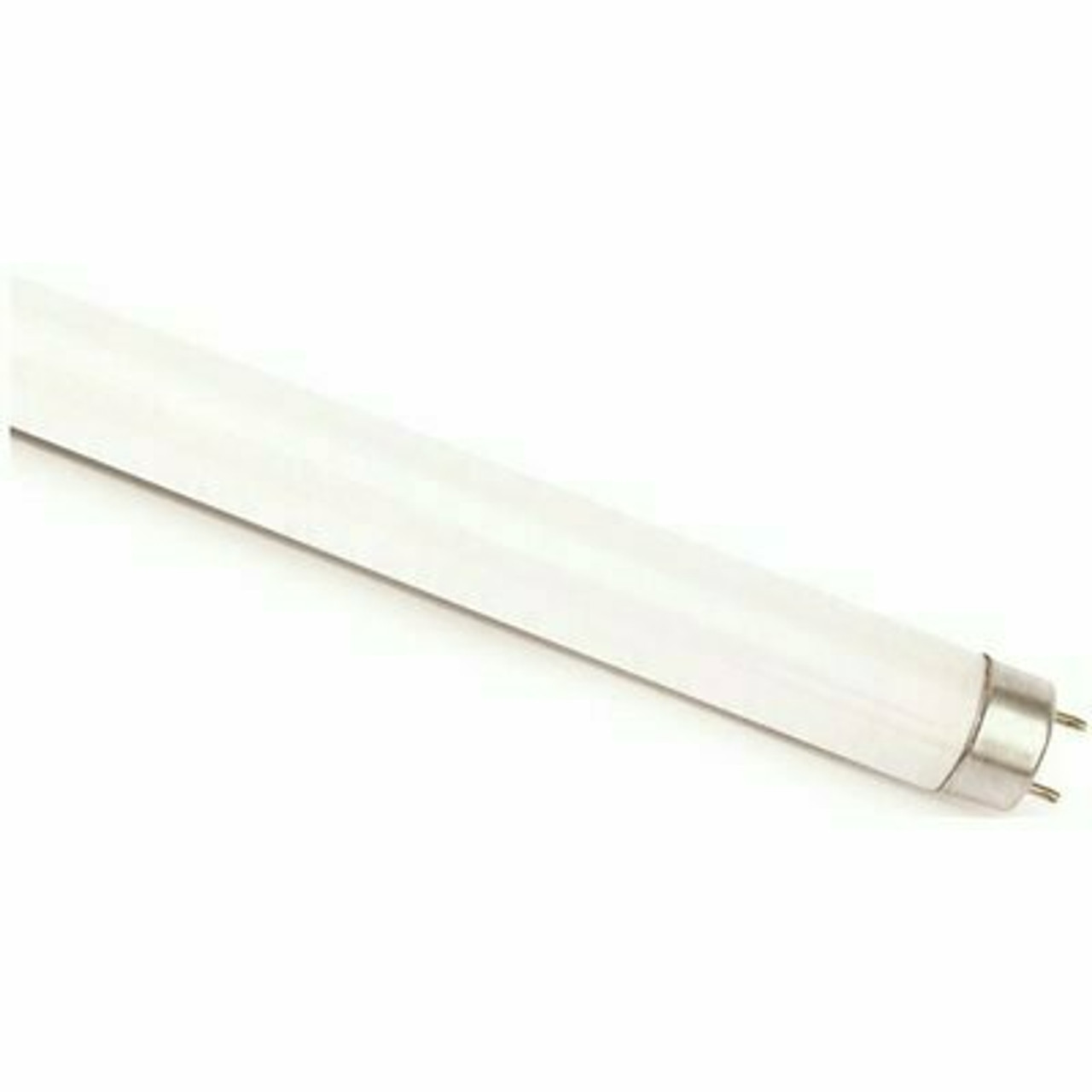 Commercial Electric 32-Watt Linear T8 Fluorescent Tube Light Bulb Cool White (1-Bulb)