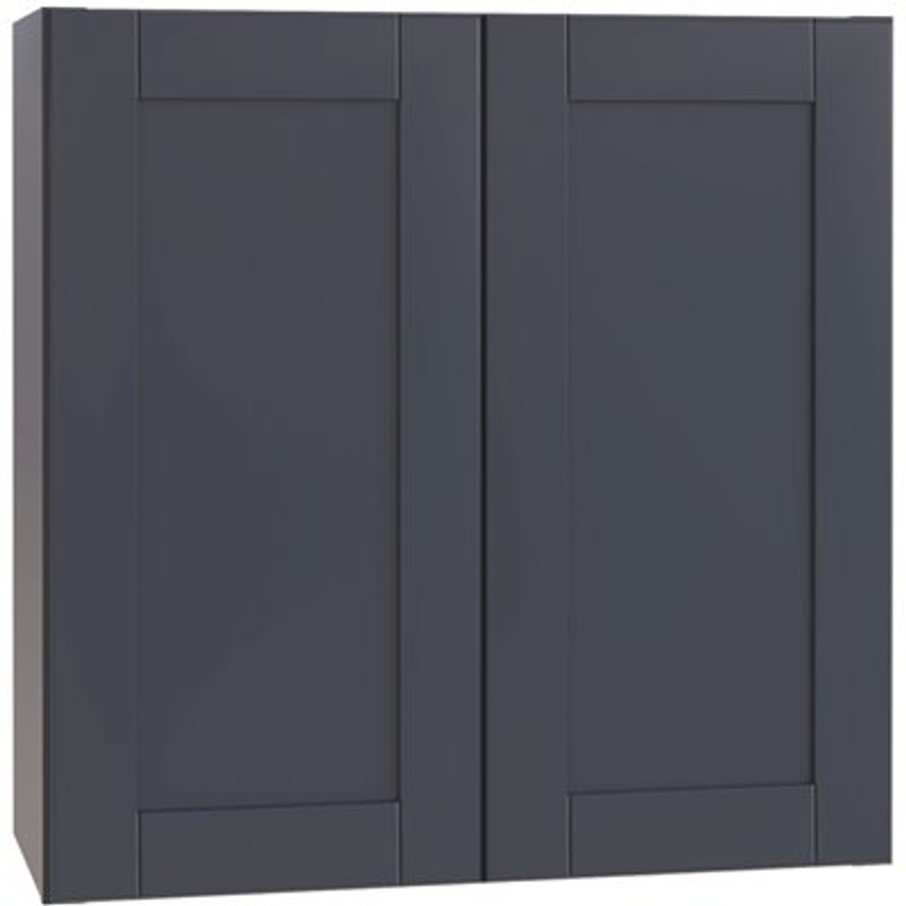 Richmond Shaker Rta Wall Cabinet Double, Valencia Blue, 24"x36"x12"