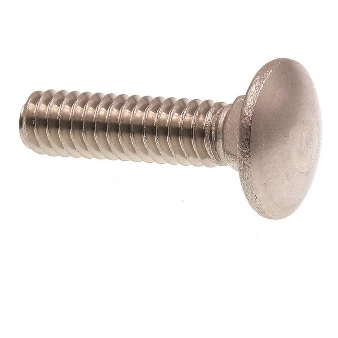 Generic Carriage Bolts,ss, Package Of 25