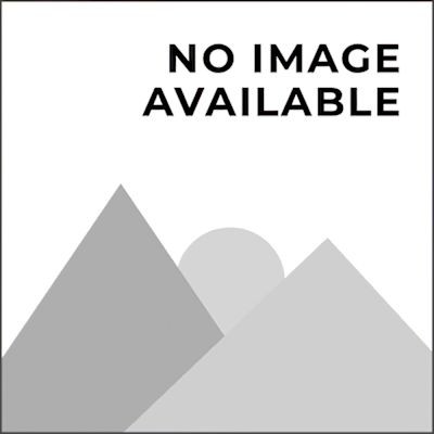 Symmons Bar End & Screws For Hand Spray Units