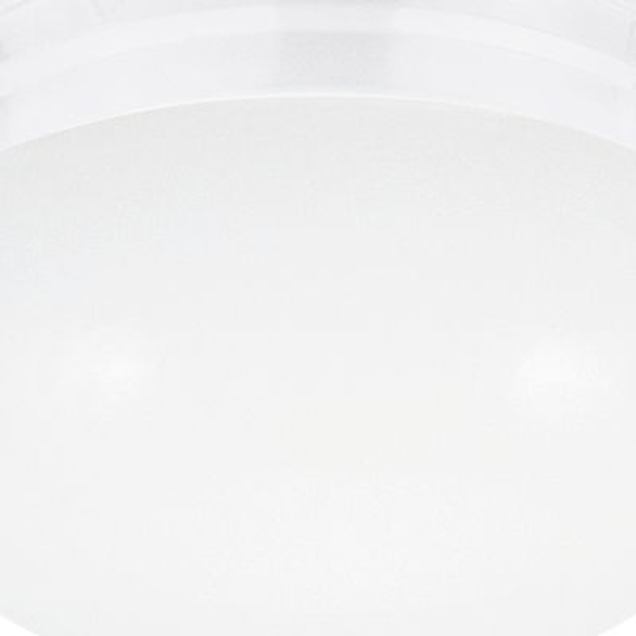 Generation Lighting Webster One-Light Flush-Mount Ceiling Fixture