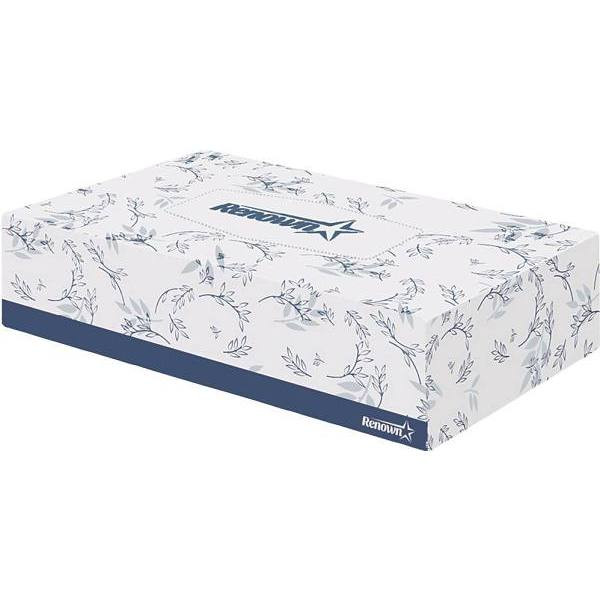 Renown 2-Ply Flat Box Facial Tissue 100-Count Case Of 30