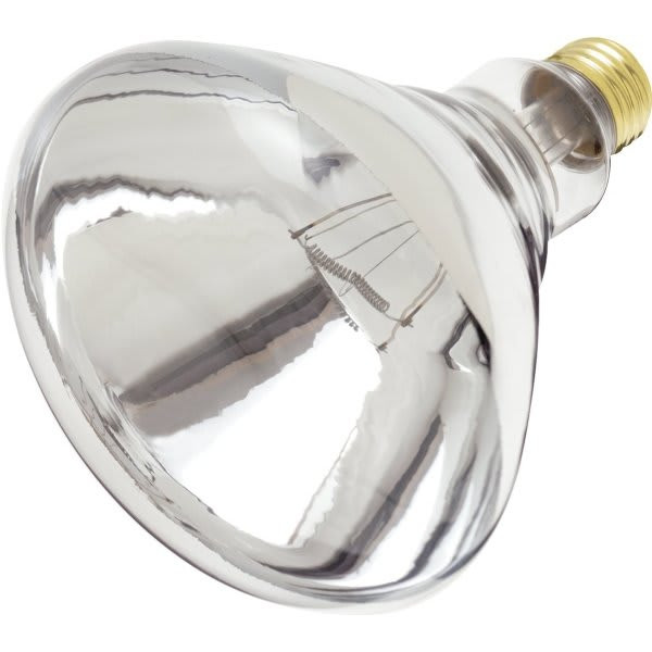 SATCO 250-Watt R40 Medium Base Incandescent Heat Lamp Bulb Case Of 12