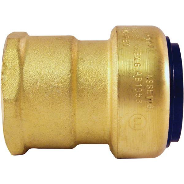Tectite 1 Brass Push-To-connect X Female Pipe Thread Adapter