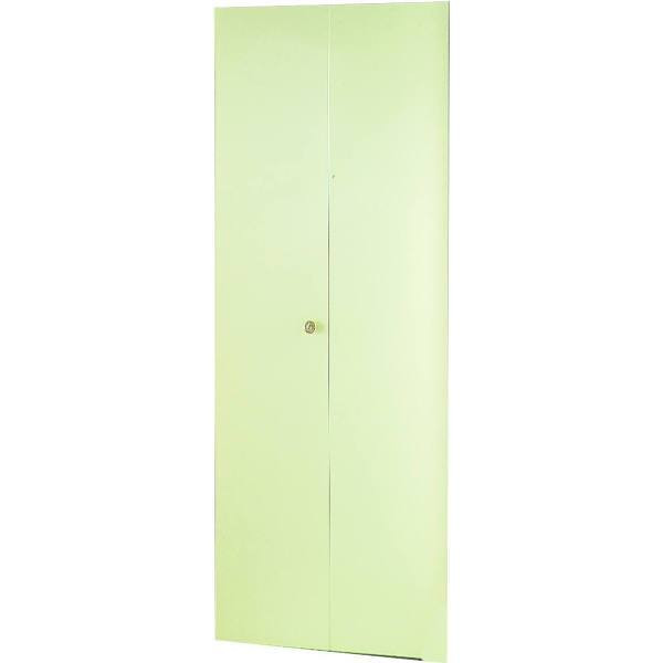 Dunbarton The Flush Metal Bi-Fold Door, 2 Panel, 24" X 80", Ivory