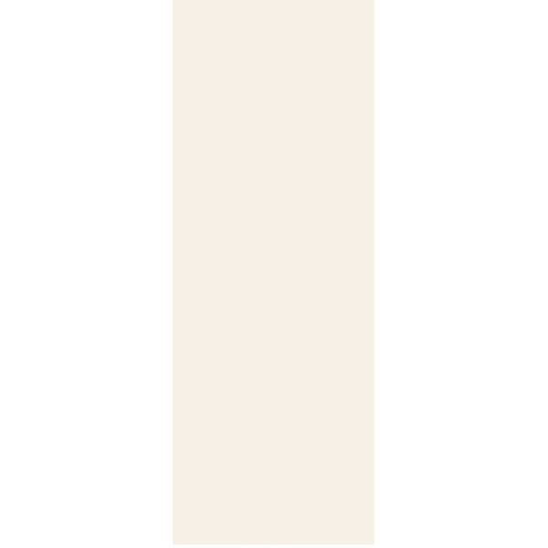 Renin 42" X 80" Primed Flush Hardboard Hollow Core Slab Interior Door