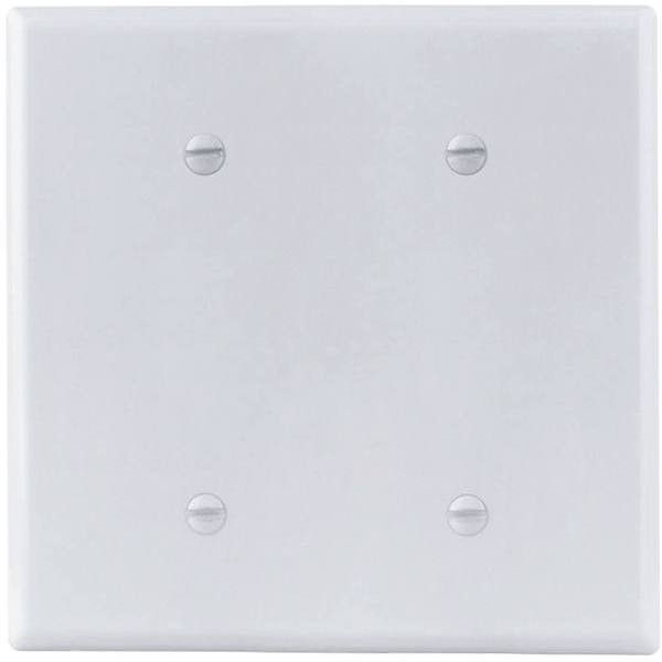 Titan3 White Smooth 2-Gang Blank Standard Metal Wall Plate