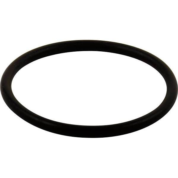Delta O-Ring Large All Monitor Series Rp23336