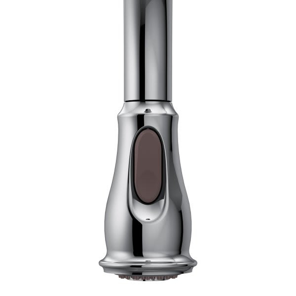 Moen Chrome Finish Wand Kit