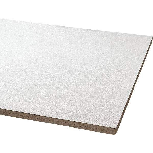 Armstrong Ceilings Clean Room Vl 2  X 4  Square Unperforated Ceiling Tile (8-Case)
