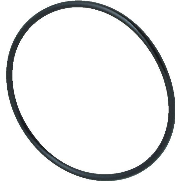Pentair 355331 Challenger Diffuser Pool O-Ring
