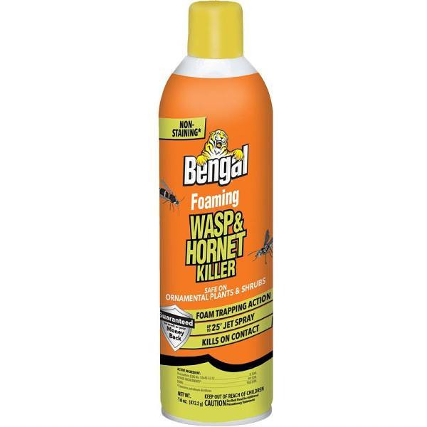 Bengal Products 16 Oz Foaming Wasp And Hornet Killer Package Of 2