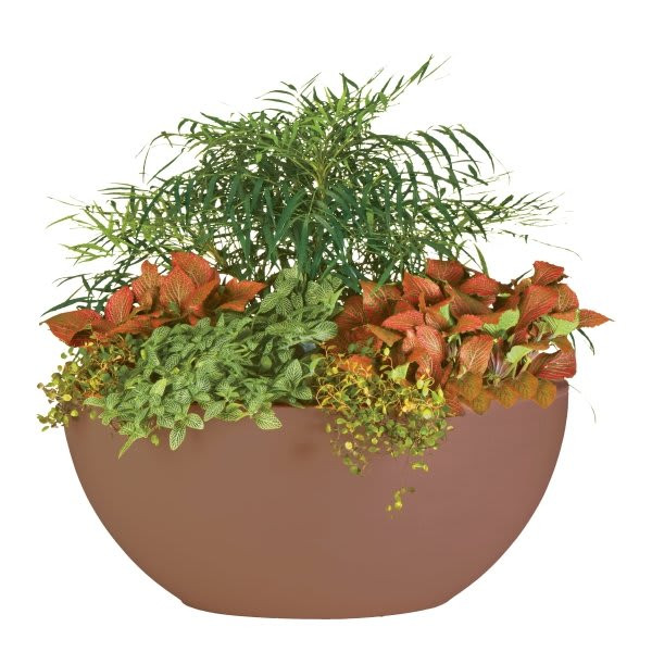 Classic Look Flat Bottom Planter, 15-1/2, Brown