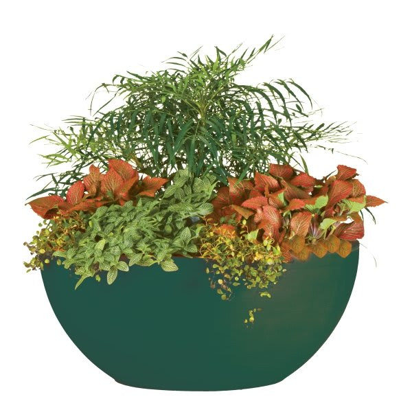 Classic Look Flat Bottom Planter, 15-1/2, Hunter Green
