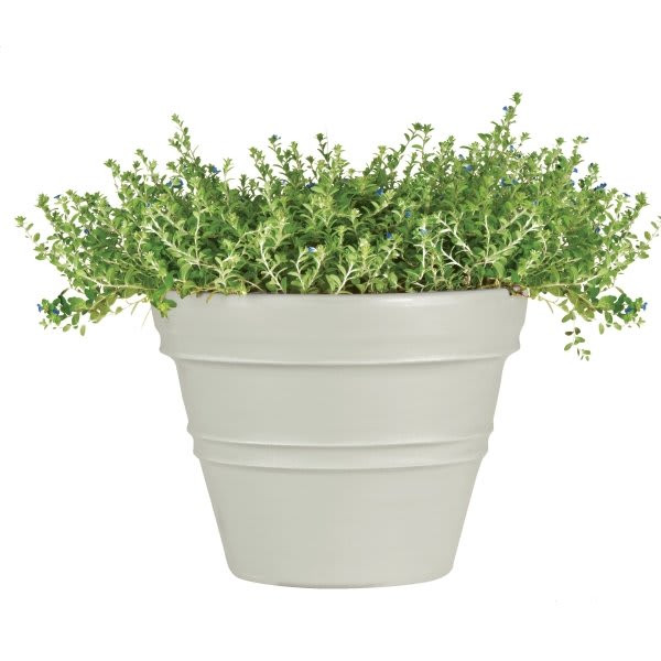 Classic Look Rolled Rim Planter, 41 Diameter, Cement