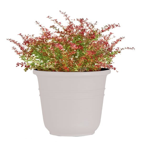Classic Look Bell Planter, 13-1/4 Diameter, Cement