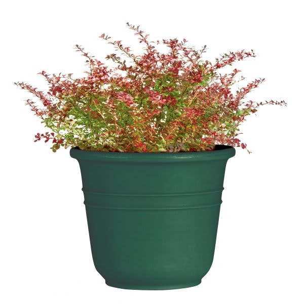 Classic Look Bell Planter, 16-3/4 X 20-1/4, Hunter Green