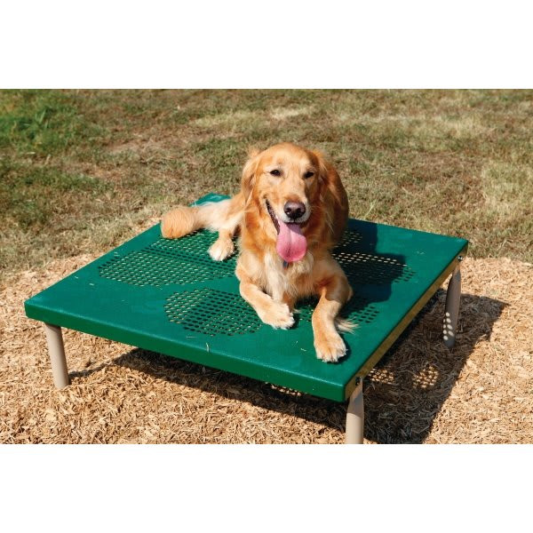 Barkpark Dog Park Paws Table (Green/Beige)