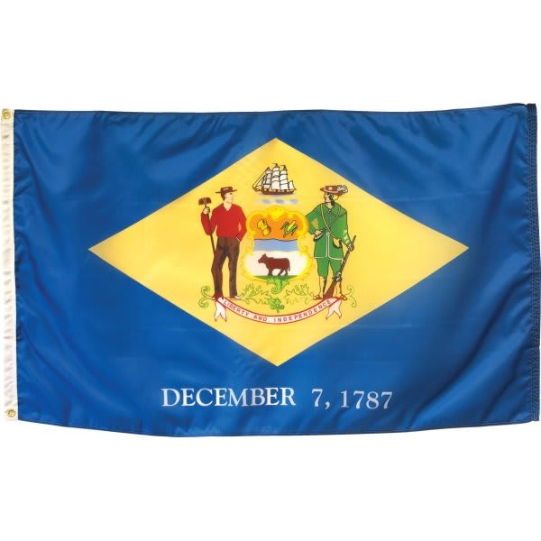 Valley Forge Flag State Flag Delaware 5' X 3'