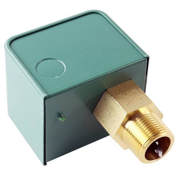 Raypak Industrial Flow Switch, 1", 24v 007142F