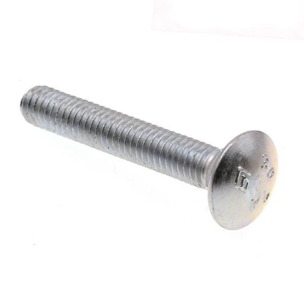 2 In. Carriage Bolts (100-Pack)