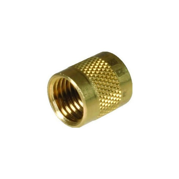 Brass Valve Cap With Seals Package Of 25