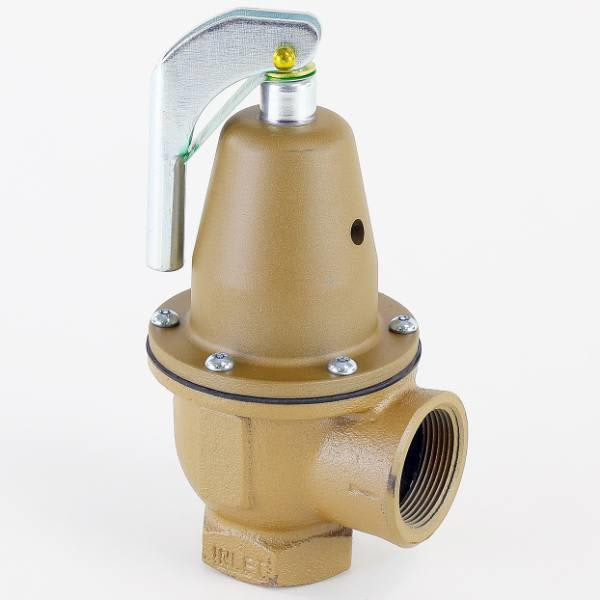 Watts 740-1 1/4-50 Pound 75000 Relief Valve
